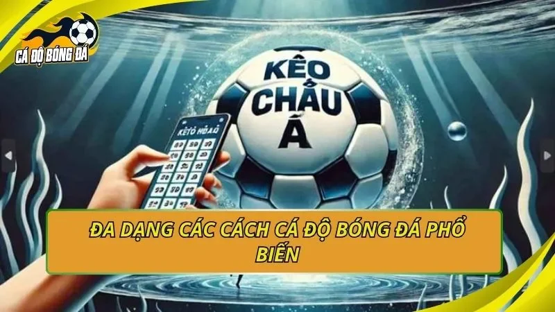 Đa dạng các cách cá độ bóng đá phổ biến