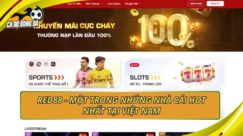 RED88 - Một trong những nhà cái hot nhất tại Việt Nam