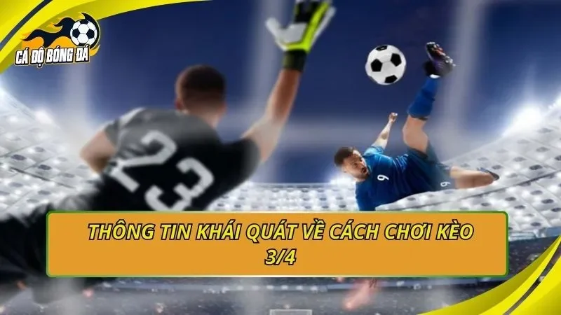 Thông tin khái quát về cách chơi kèo 3/4